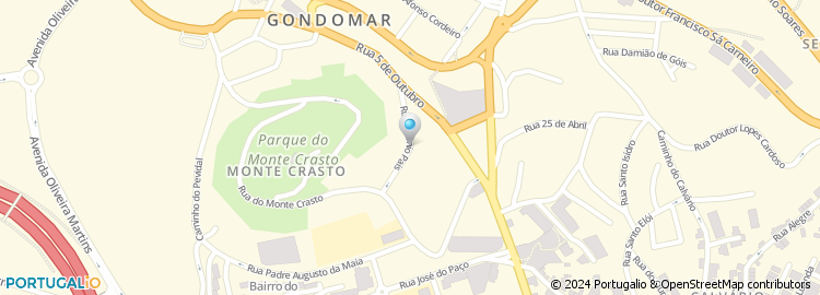 Mapa de Joaquim de Castro Sousa Pinto