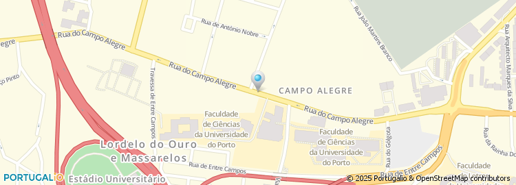 Mapa de Nelson Quintas & Filhos (Holding), S.G.P.S. , SA