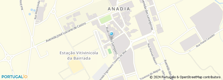 Mapa de Osvaldo M Fernandes Almeida